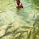 balneario-municipal-jescika-lemes-bonito-ms-02.jpg